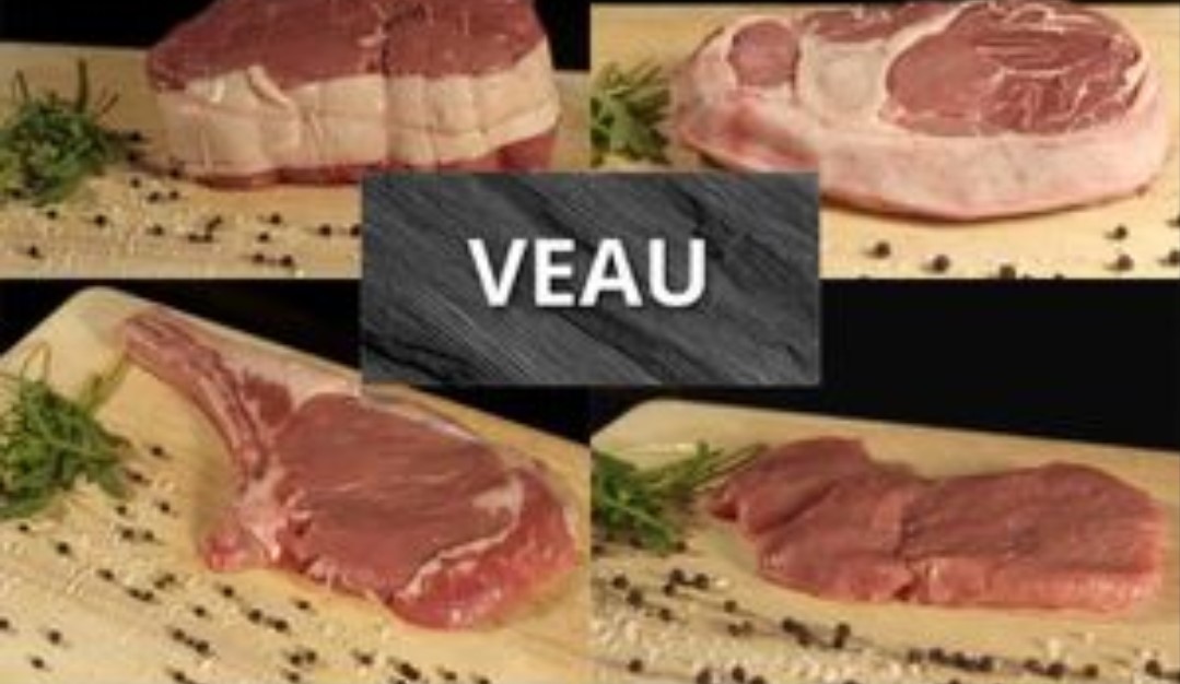 Vente Directe Viande Bovine Dordogne